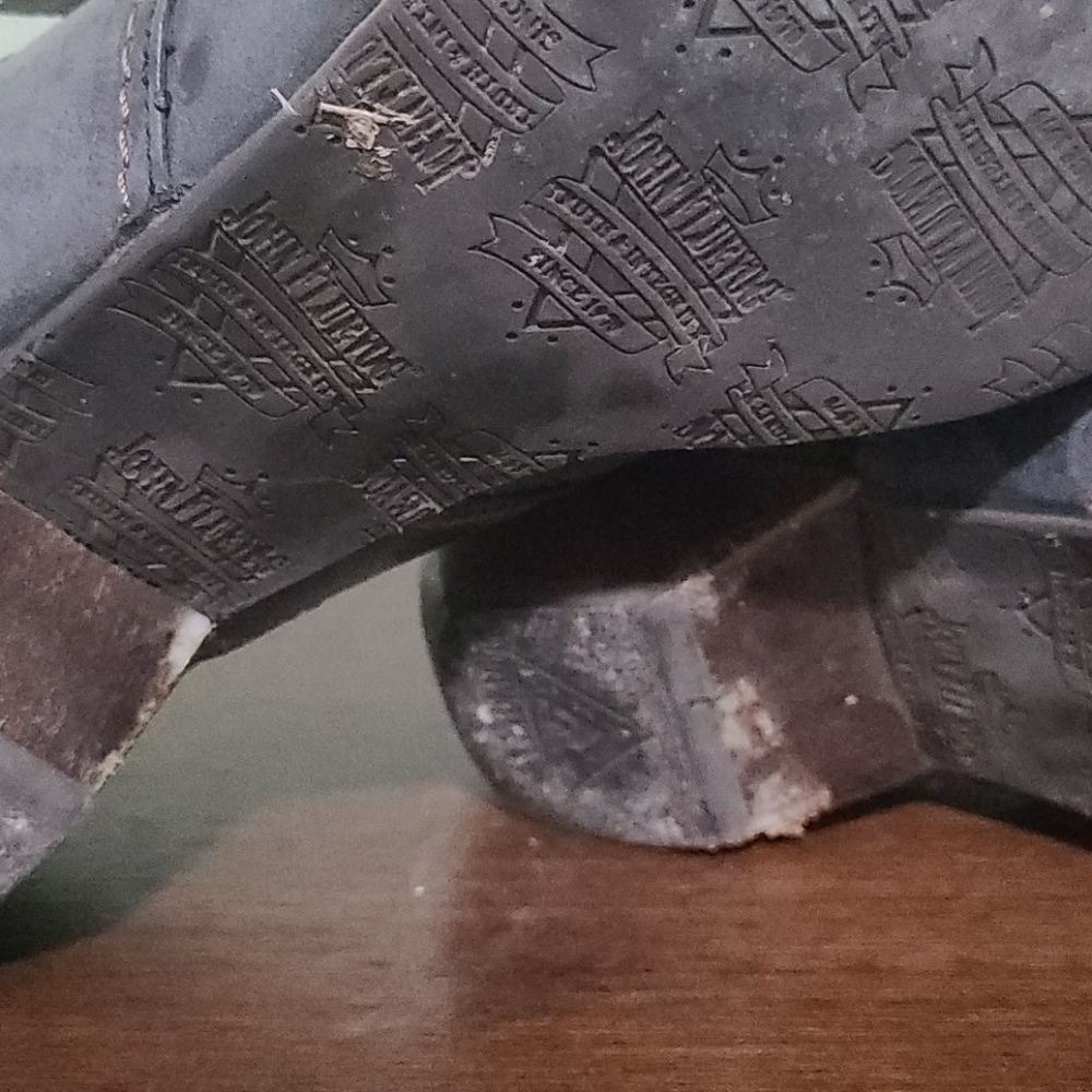 Final Price Truth Pilgrims - Picture 3 of 5